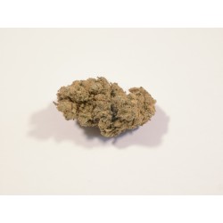 G13 CBD  2,5g  8€/g